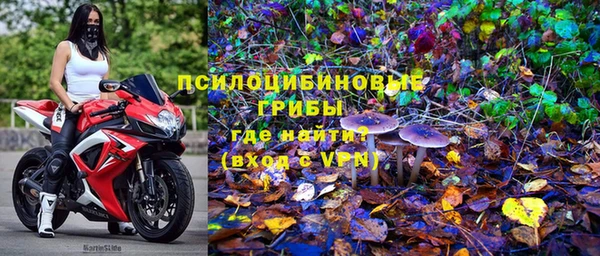 винт Беломорск