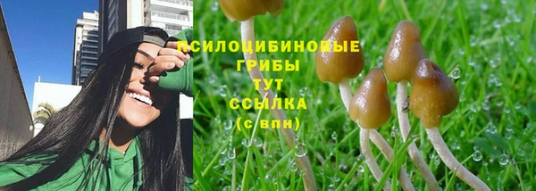стафф Балахна