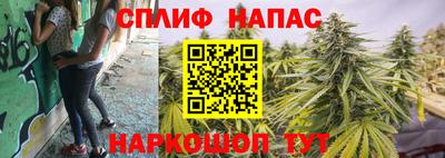 стаф Бузулук