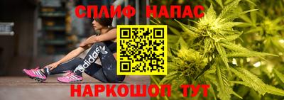 молекула духа Будённовск