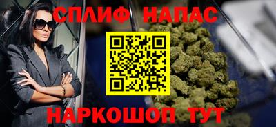 стаф Бузулук