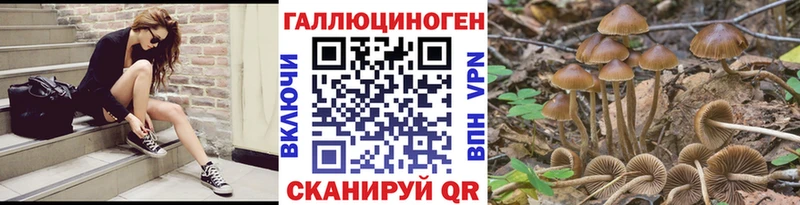 Галлюциногенные грибы GOLDEN TEACHER  omg tor  Гай 