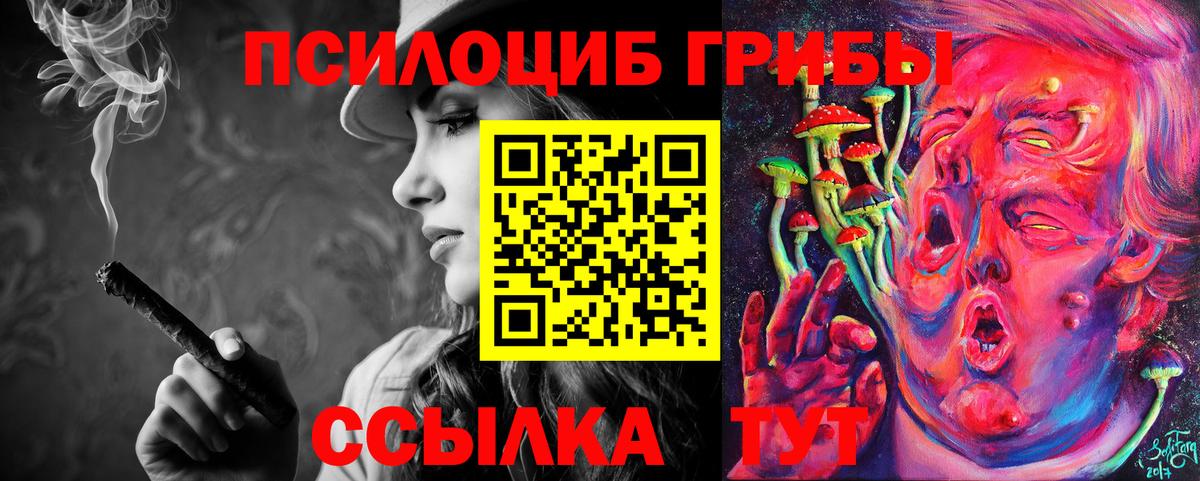 Псилоцибиновые грибы мицелий  Вход с VPN  как найти наркотики  Гай 