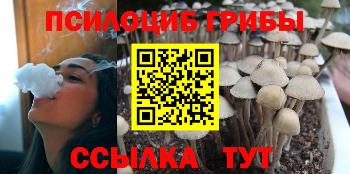 Галлюциногенные грибы MAGIC MUSHROOMS Гай