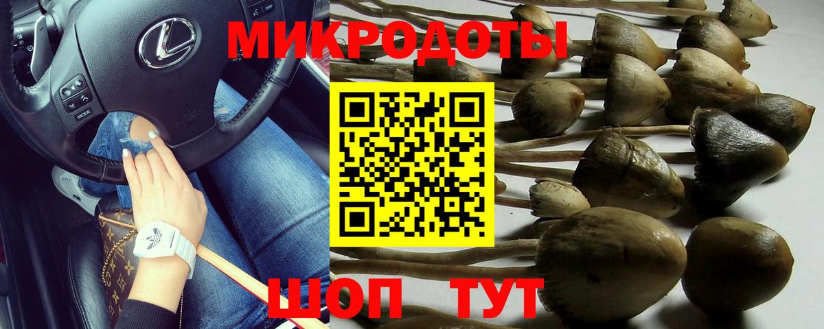 Псилоцибиновые грибы GOLDEN TEACHER  Псилоцибиновые грибы GOLDEN TEACHER  Гай 