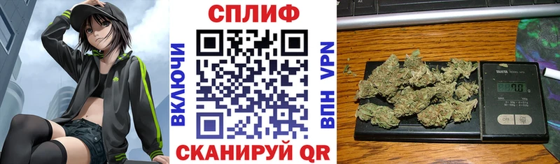 Бошки Шишки конопля Гай